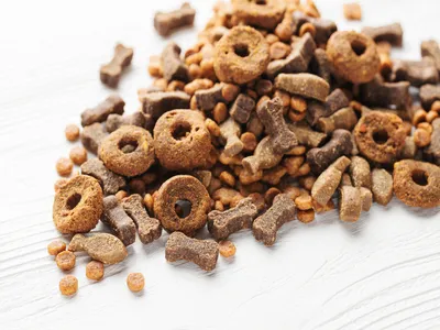 Pet Food