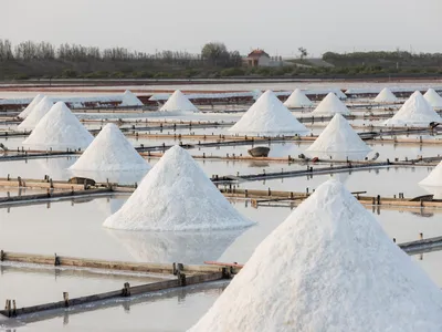 Salt & Inorganics