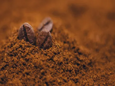 Spray Dried Coffee: How Instant Coffee Powder Is Made
